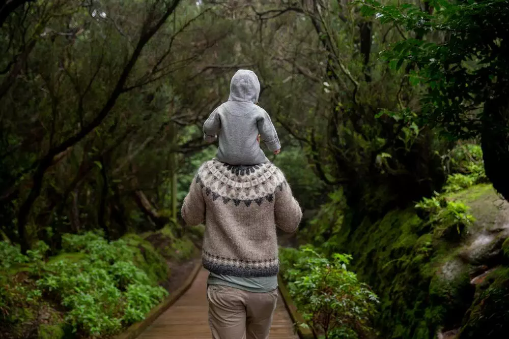 Father with child on shoulders walking through a lush forest path.