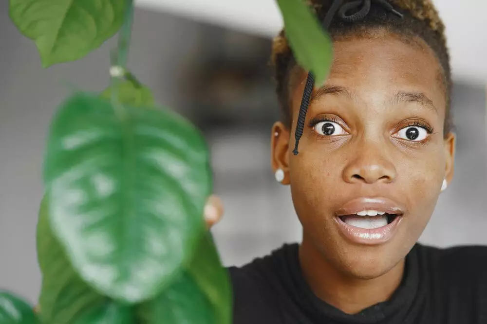 Woman in shock observing green houseplant